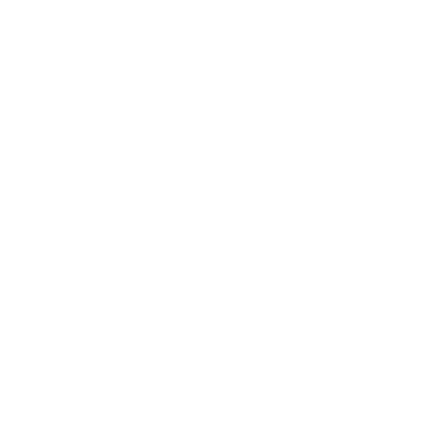 Ingos Vizualizacijos